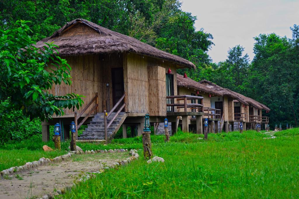 Temple Tiger Green Jungle Resort Kawasoti Chambre photo